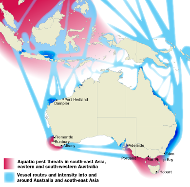 map showing location of main threat of alien aquatic pests and vessel routes in Australia